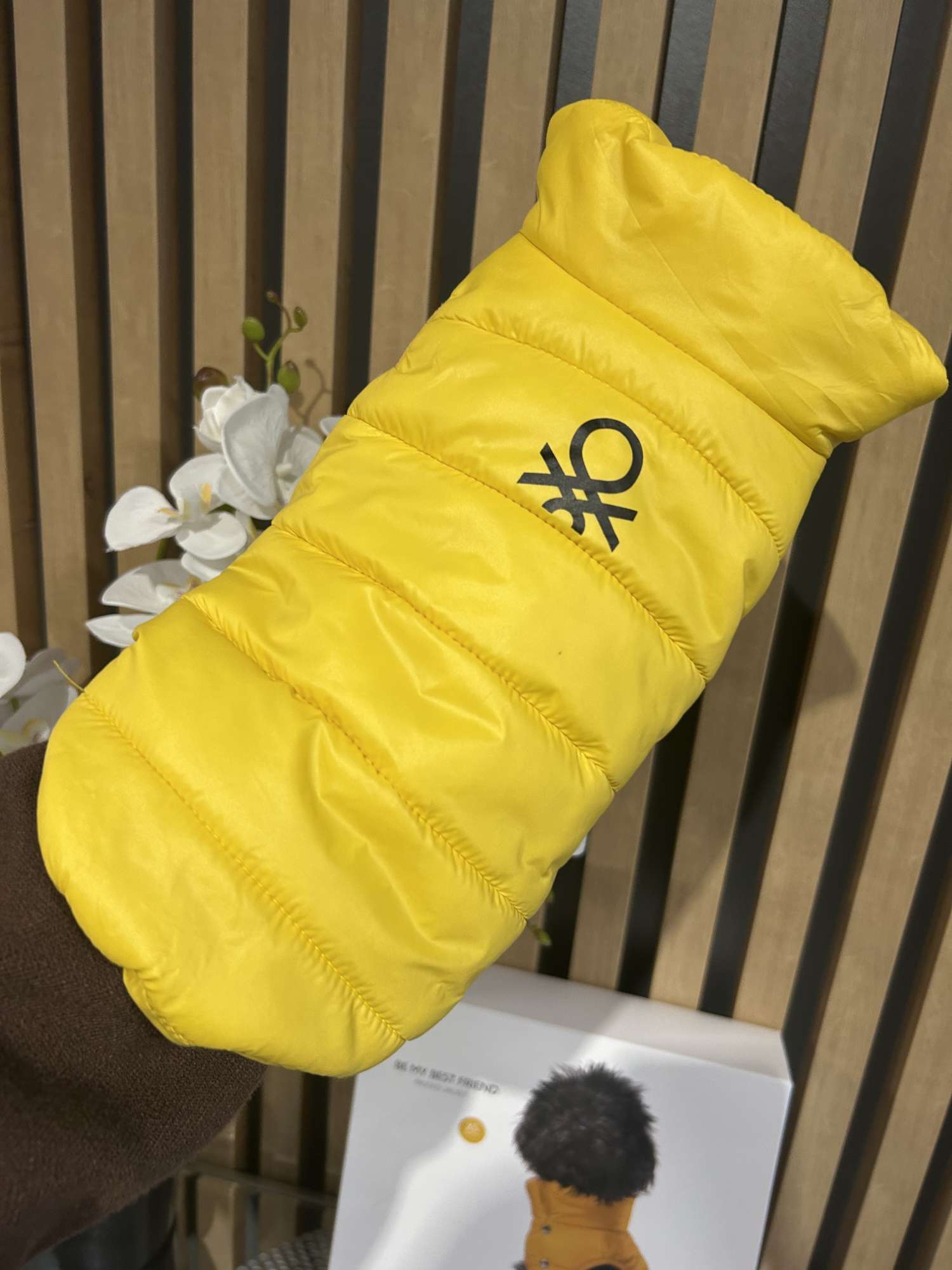 Benetton bundicka pre psa