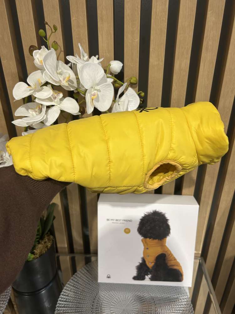 Benetton bundicka pre psa