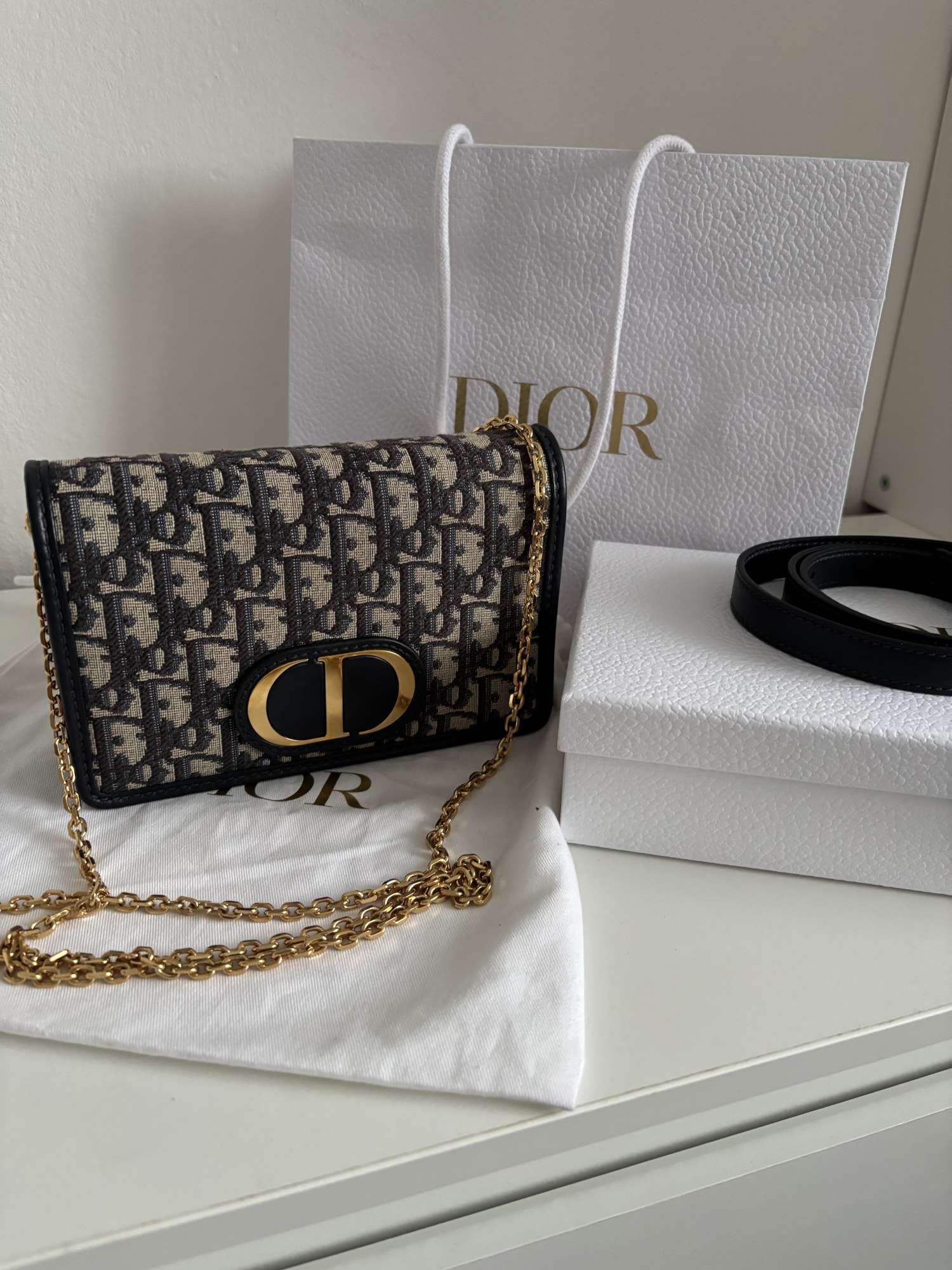 Dior 2-in-1 30 Montaigne Pouch