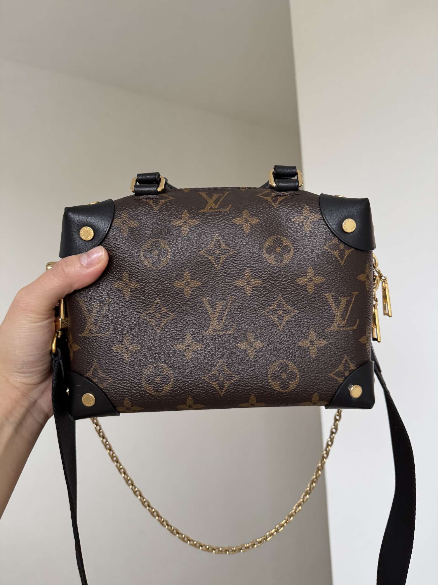 Louis Vuitton Petite Malle Souple Bag
