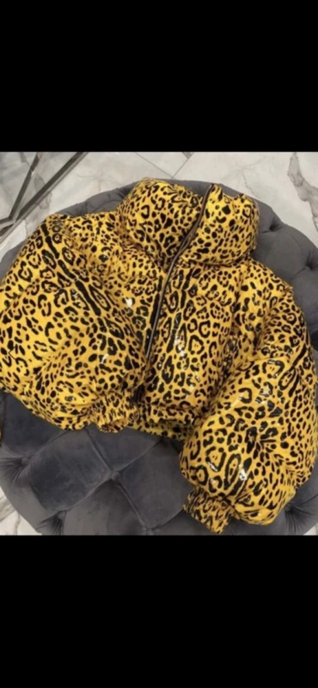 Dolce Gabbana  Zimna Bunda