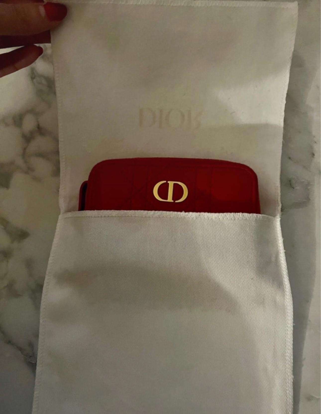 Dior penaženka