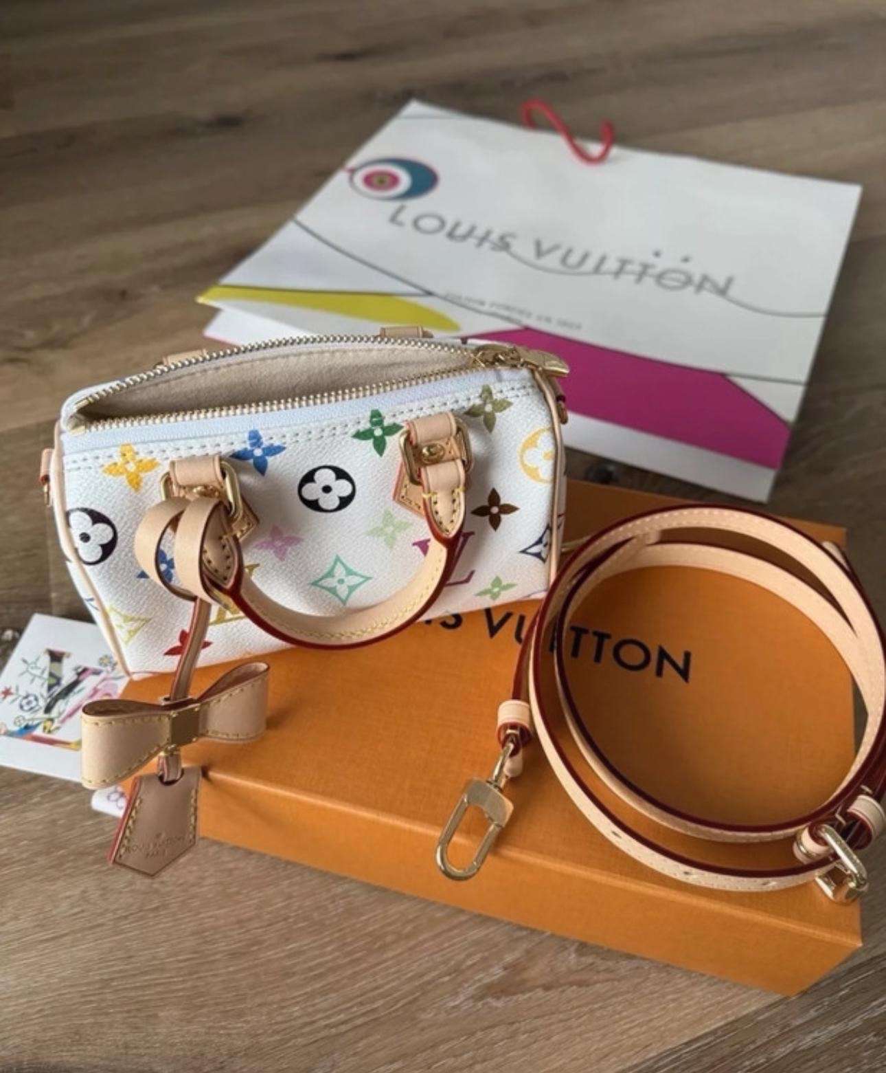 Louis Vuitton speedy murakami
