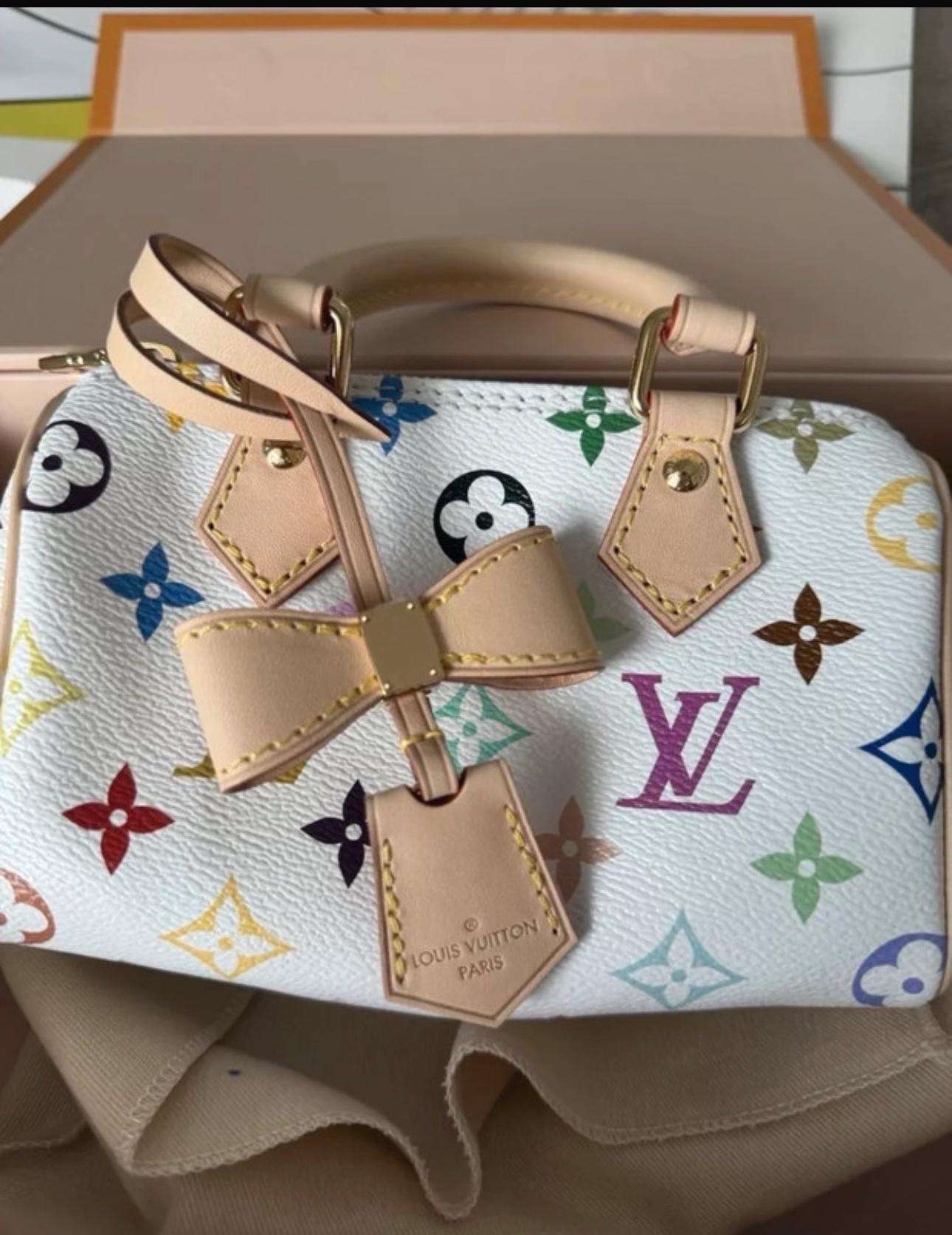 Louis Vuitton speedy murakami