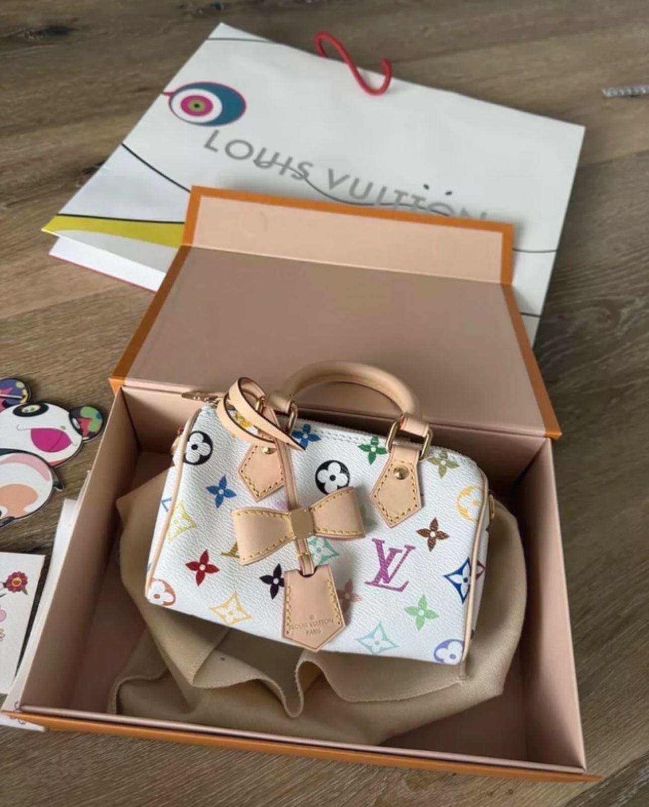 Louis Vuitton speedy murakami