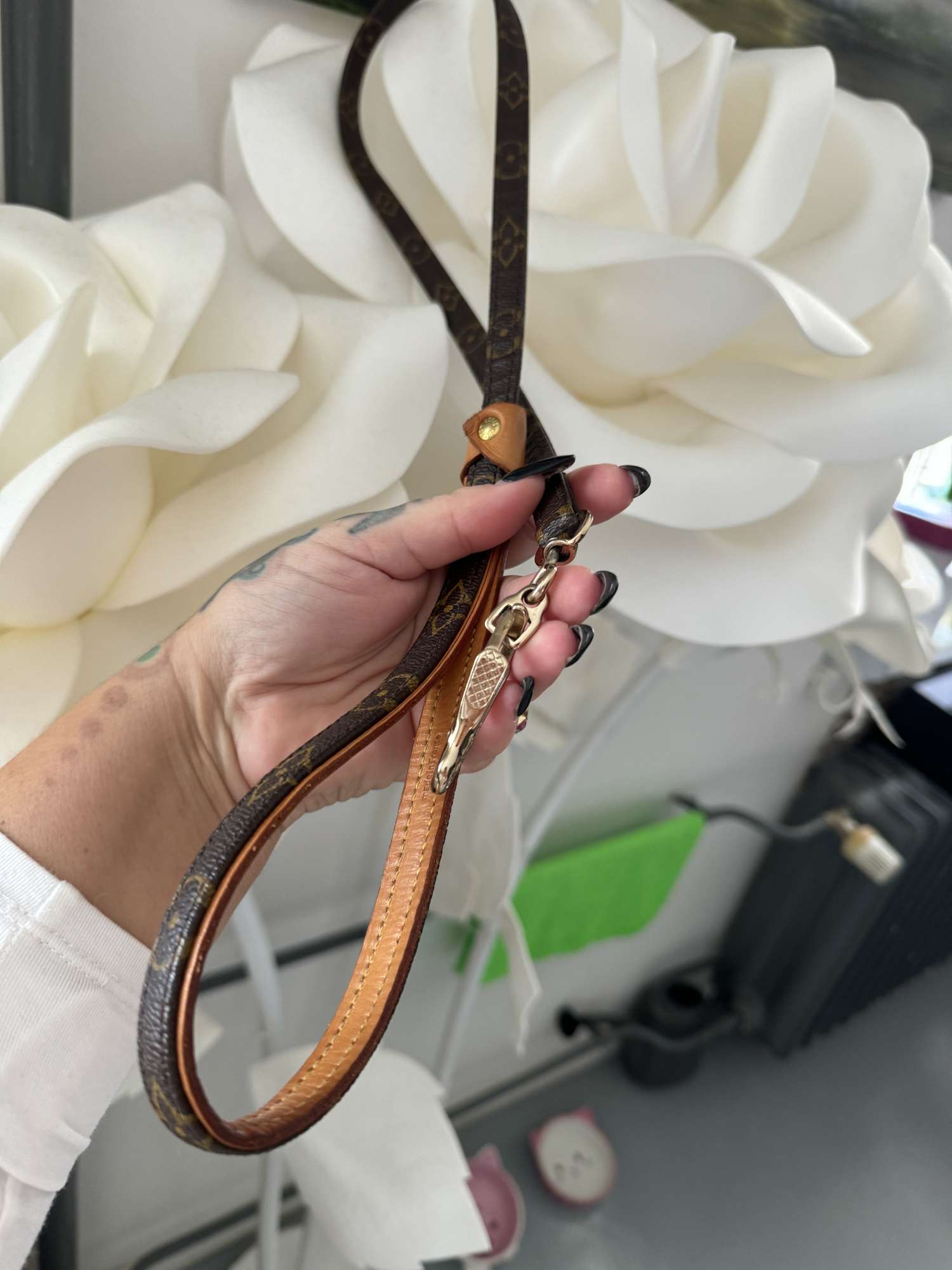 Louis Vuitton vodítko