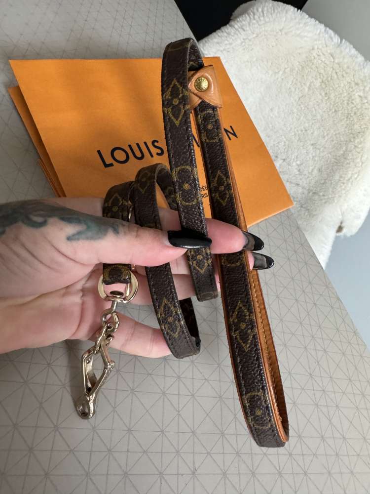 Louis Vuitton vodítko