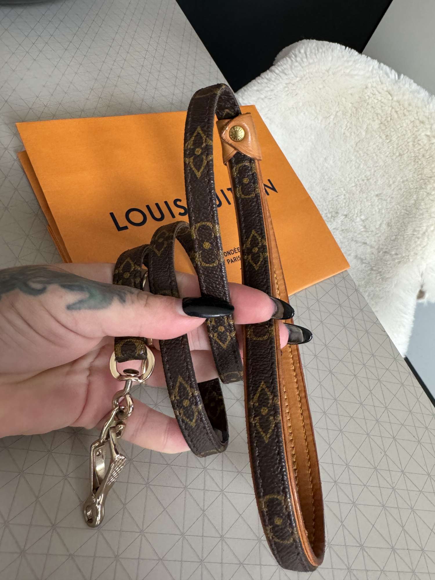 Louis Vuitton vodítko