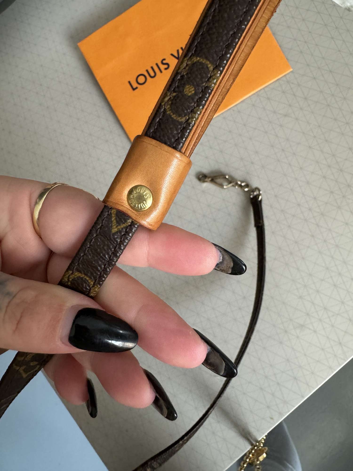 Louis Vuitton vodítko