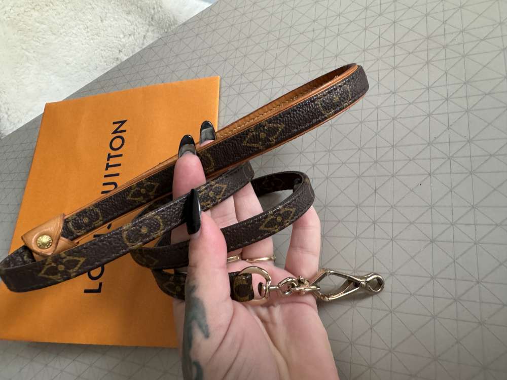 Louis Vuitton vodítko