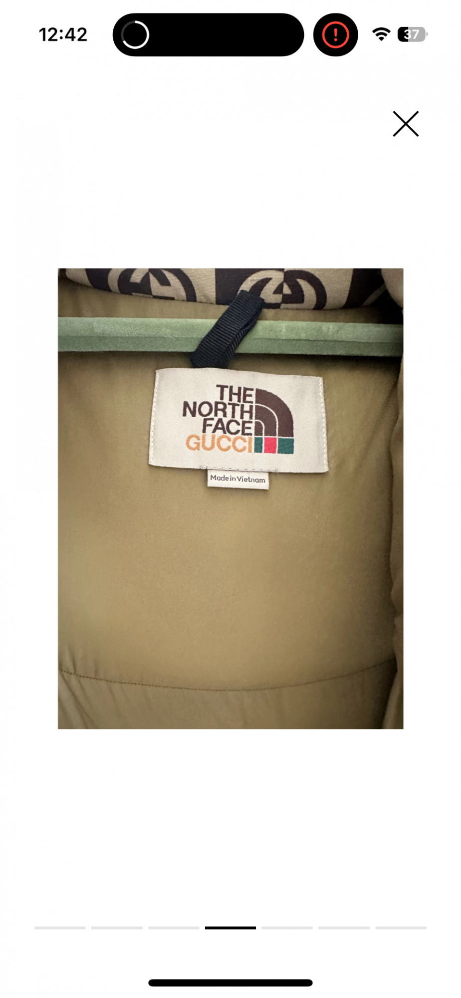 North Face x Gucci bunda