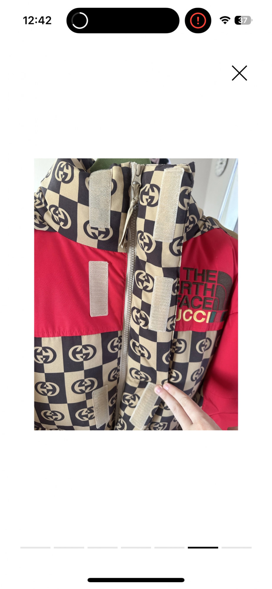 North Face x Gucci bunda