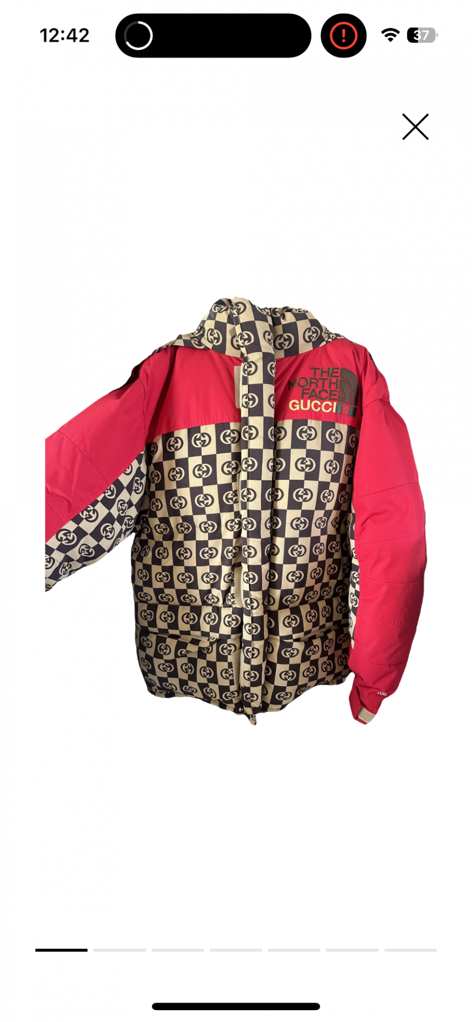 North Face x Gucci bunda