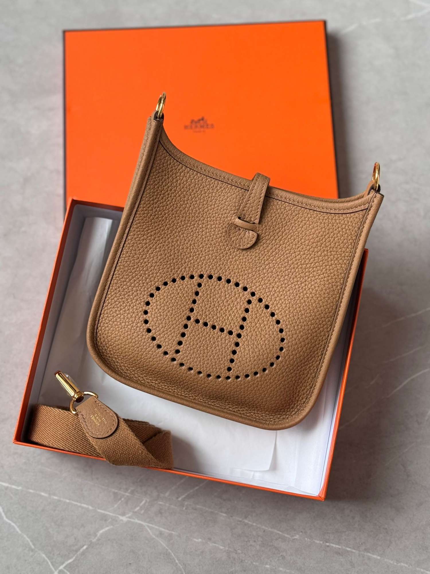 Hermes Mini Evelyn