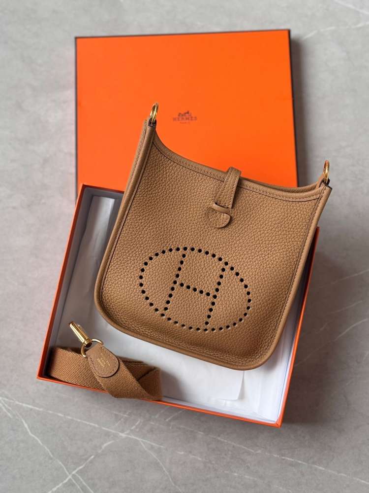 Hermes Mini Evelyn