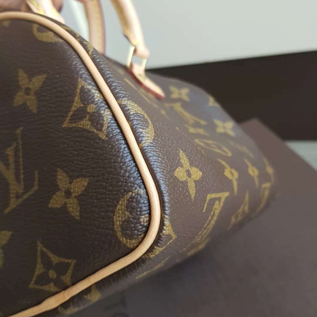 Louis Vuitton Speedy Nano