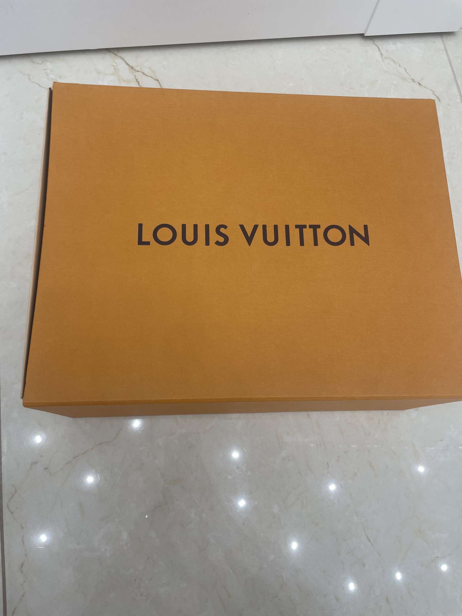 Louis Vuitton Time Out transparent sneaker/tenisky