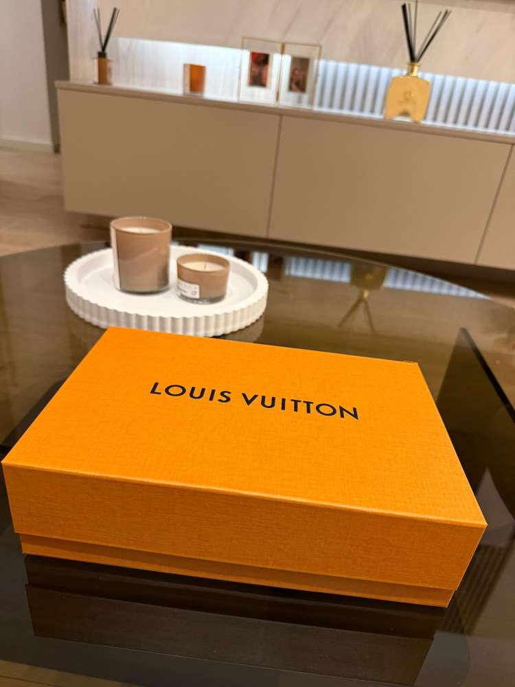 Louis Vuitton pochette