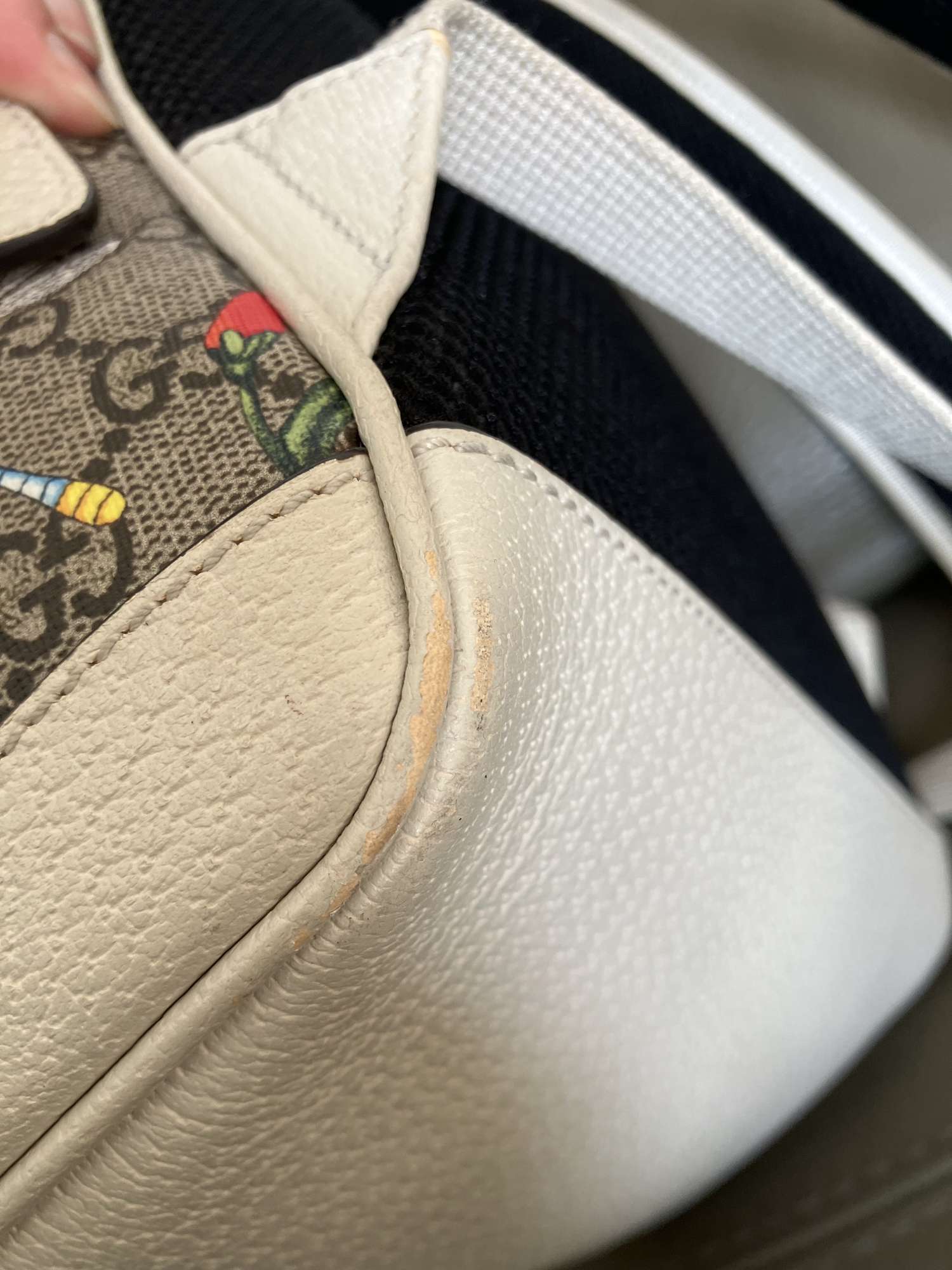 Ruksak Gucci