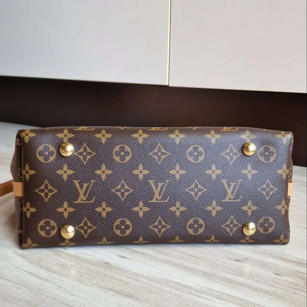 Louis Vuitton Carry All