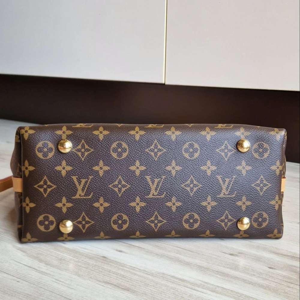 Louis Vuitton Carry All