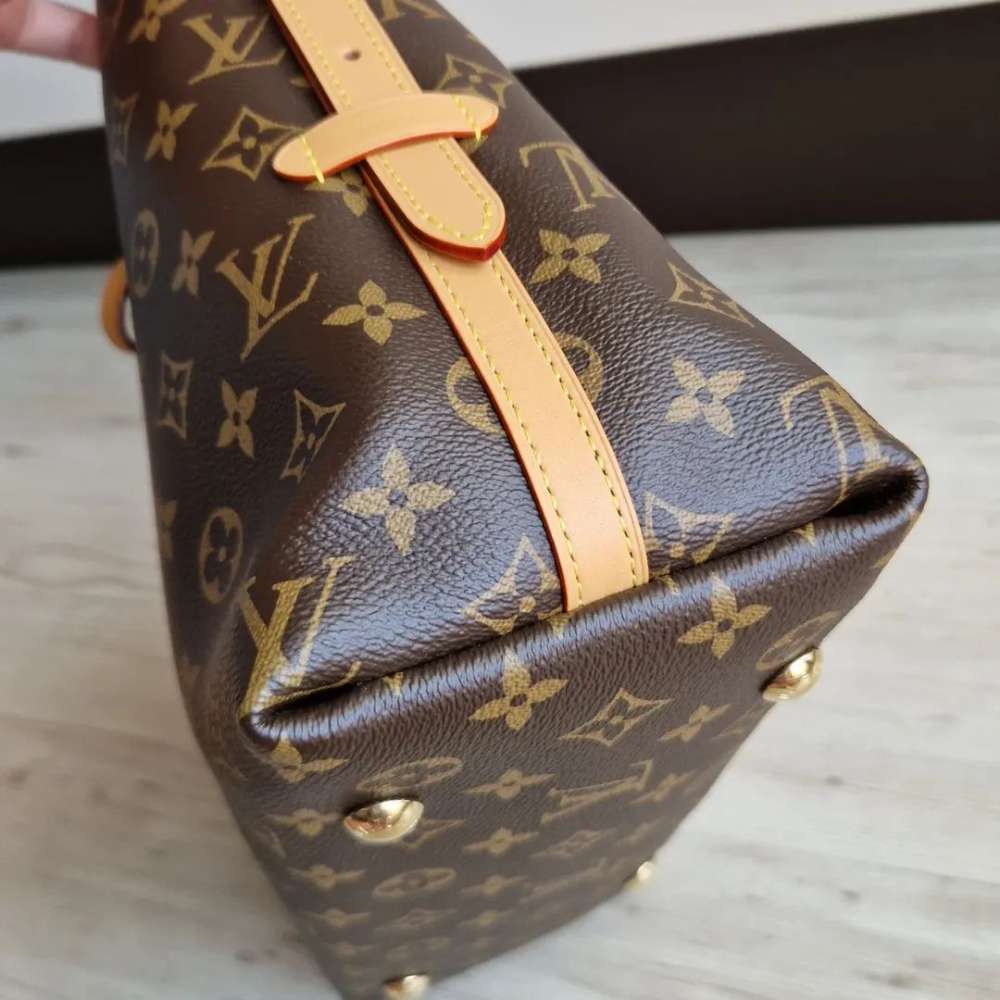 Louis Vuitton Carry All