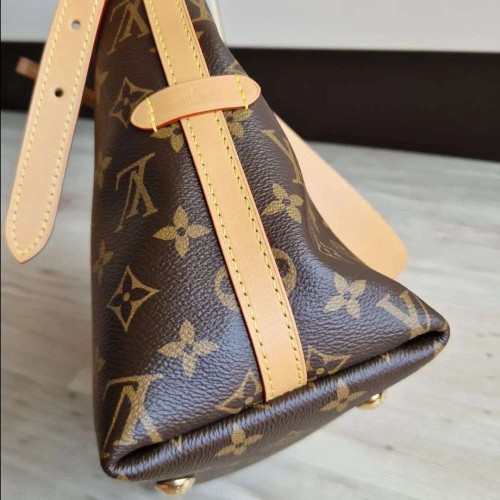 Louis Vuitton Carry All