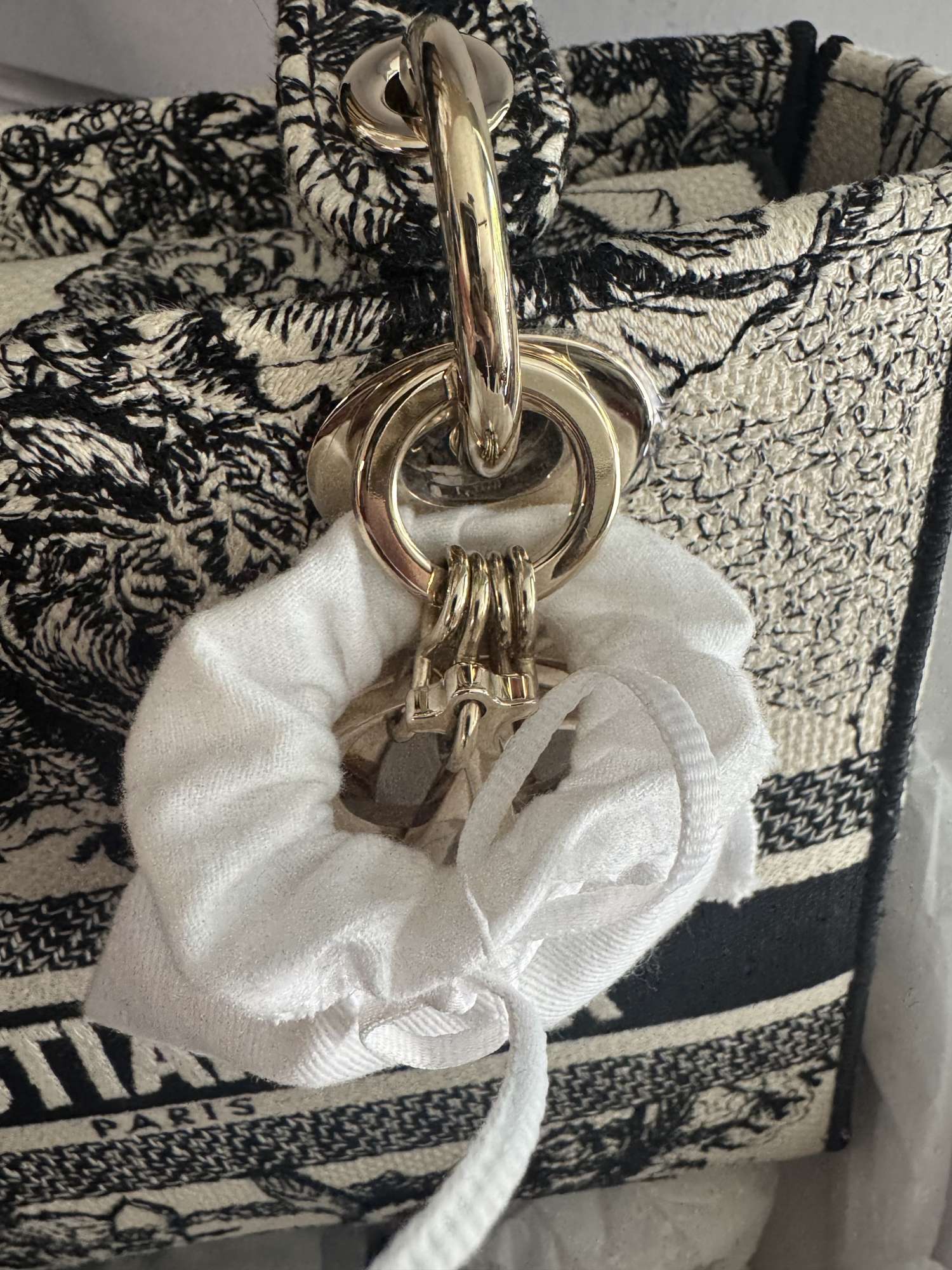 Christian Dior Lady Dior medium