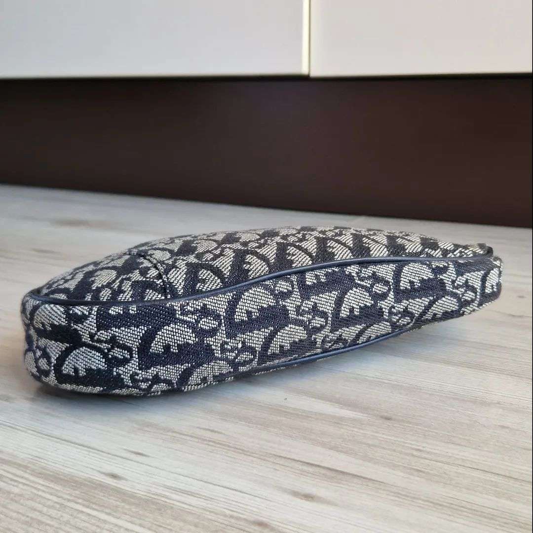 Christian Dior Saddle