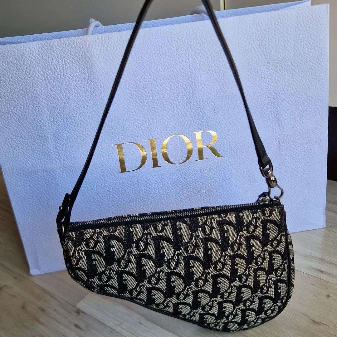 Christian Dior Saddle