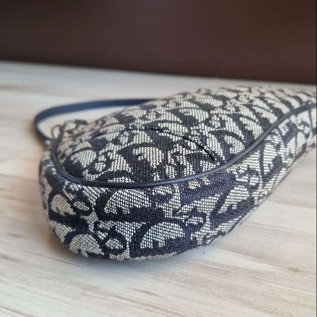 Christian Dior Saddle