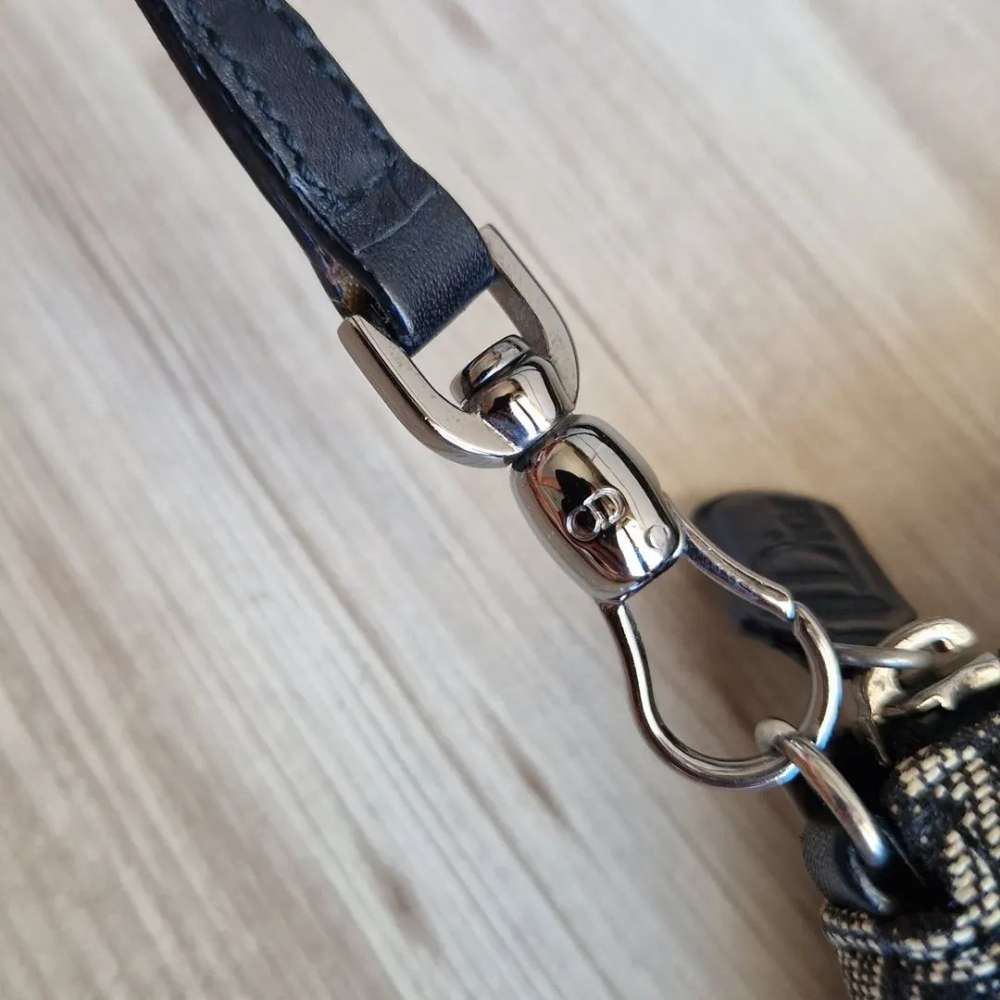 Christian Dior Saddle