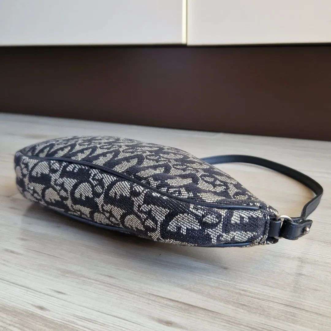 Christian Dior Saddle