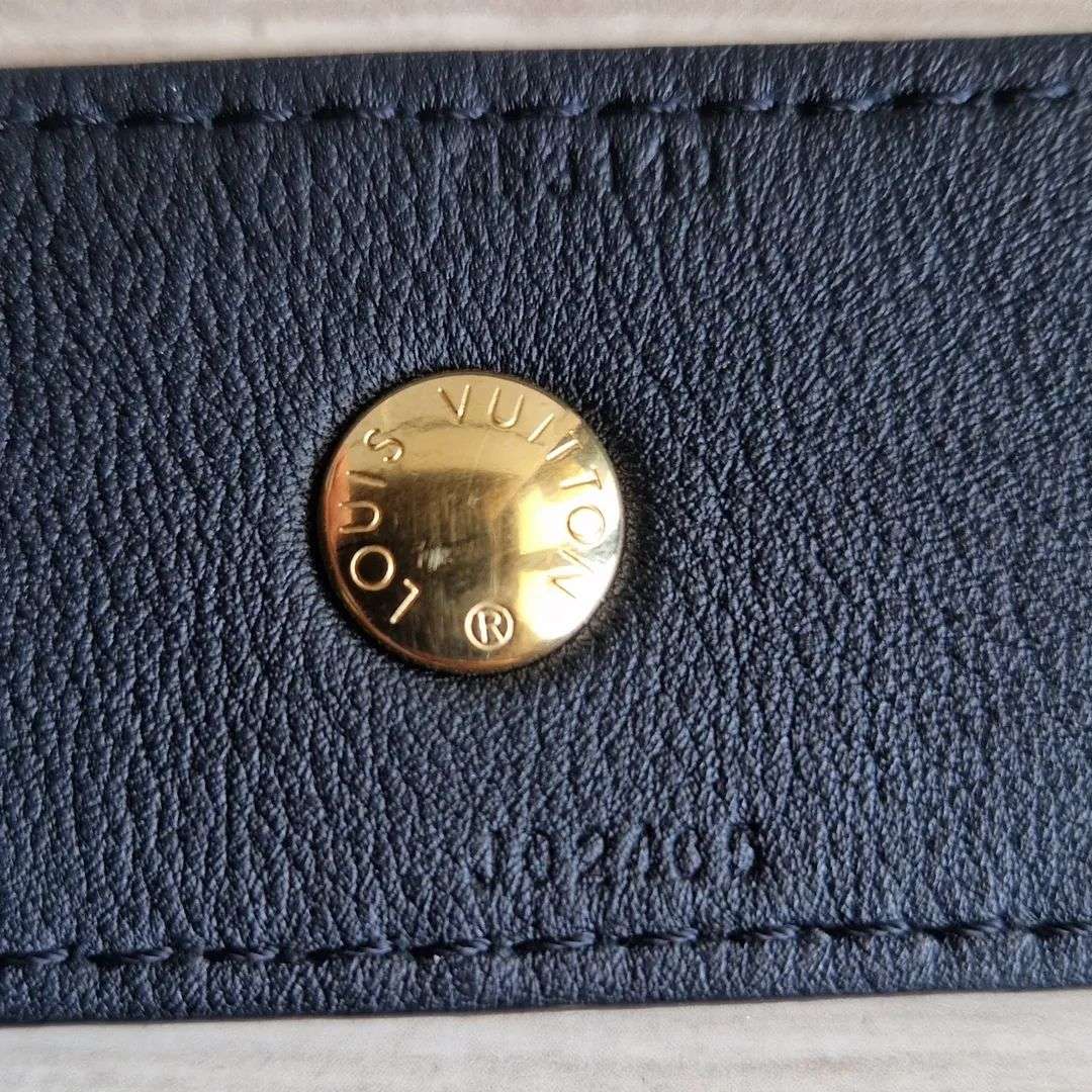 Louis Vuitton Popruh