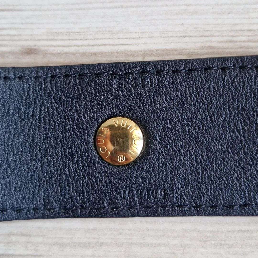 Louis Vuitton Popruh