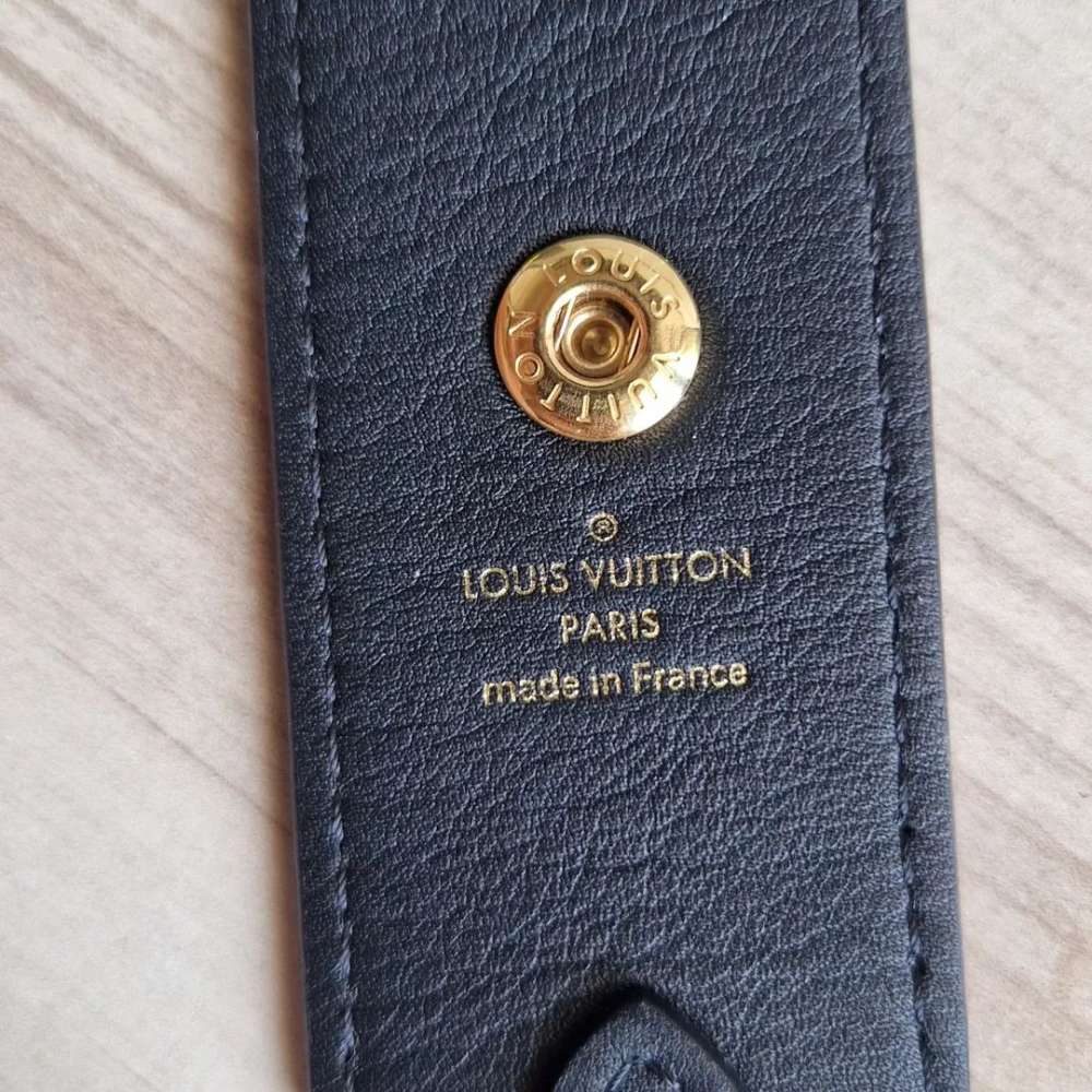 Louis Vuitton Popruh