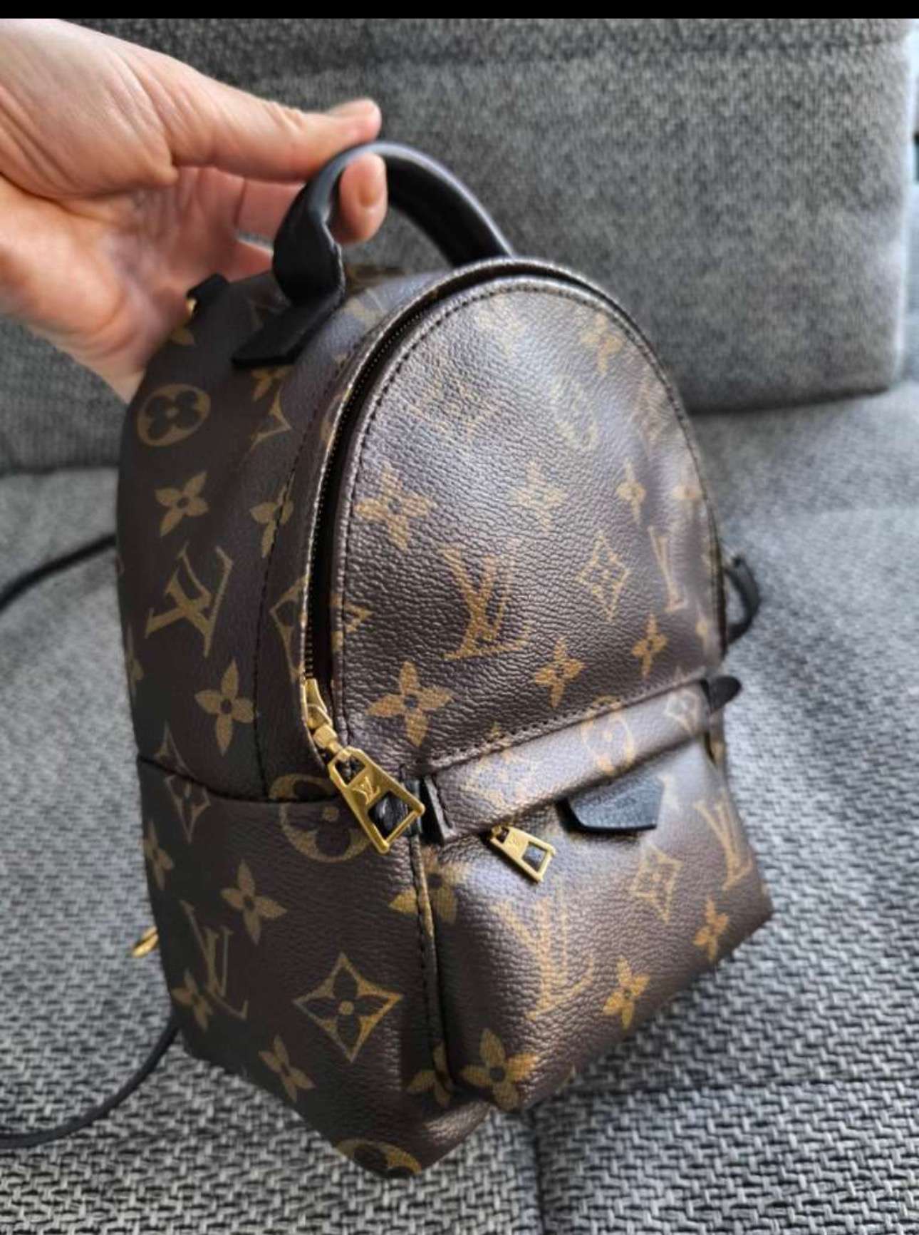 Louis Vuitton Palm Spring Mini
