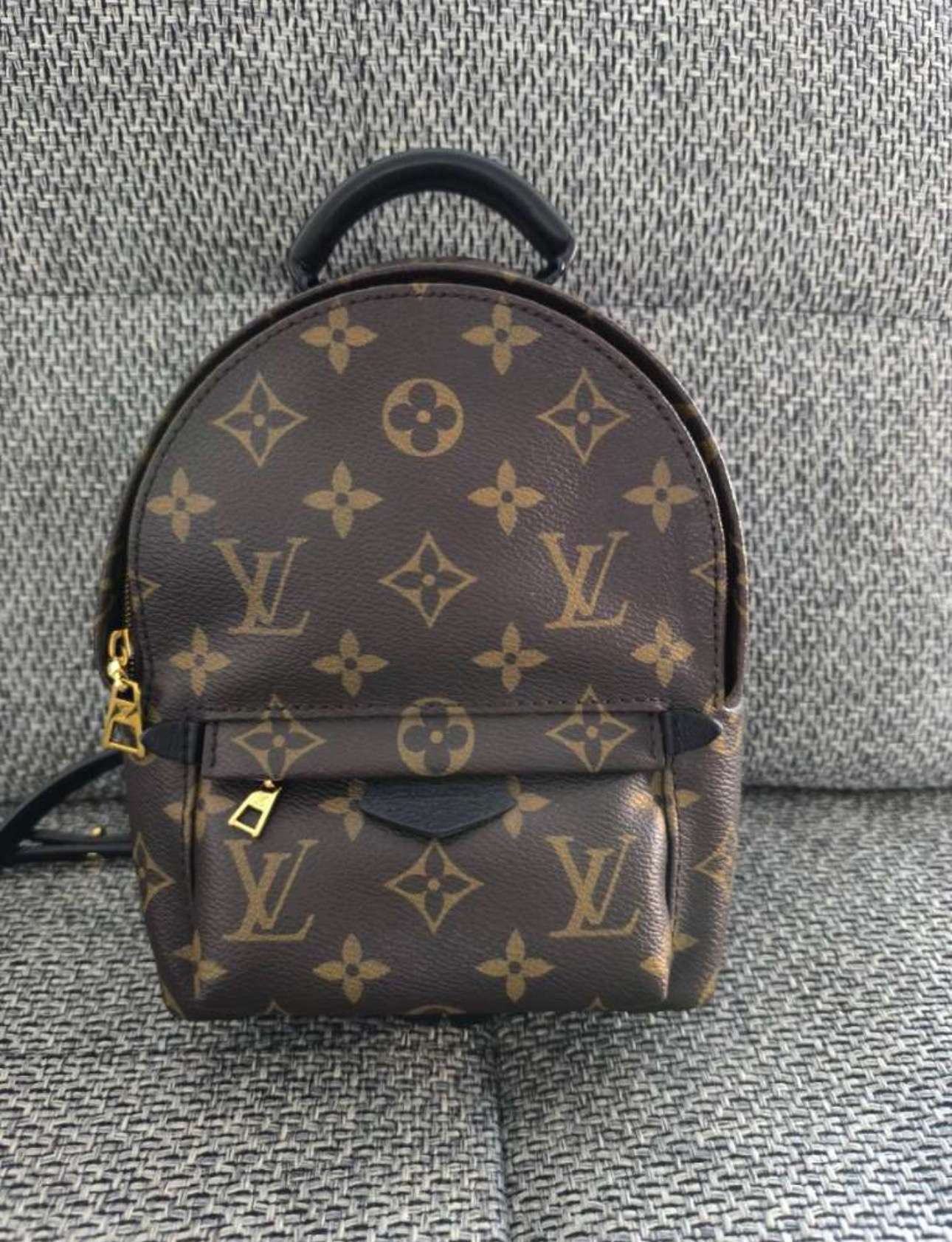 Louis Vuitton Palm Spring Mini