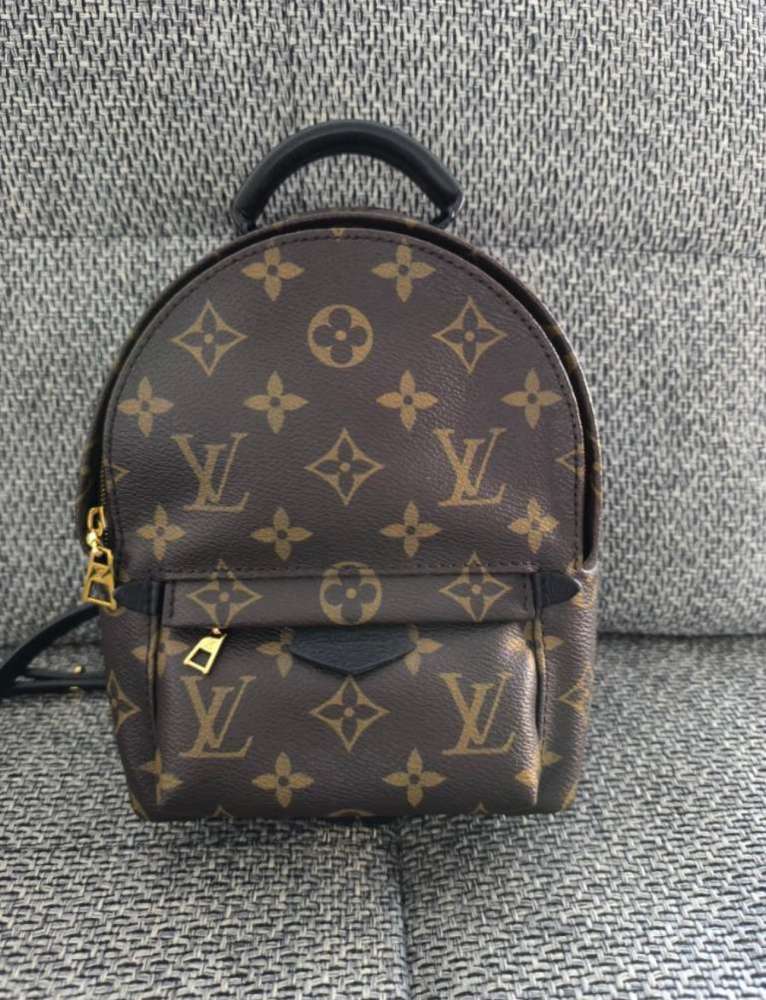 Louis Vuitton Palm Spring Mini