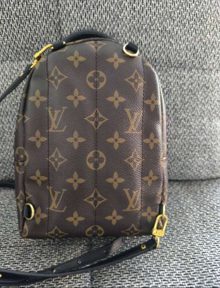 Louis Vuitton Palm Spring Mini