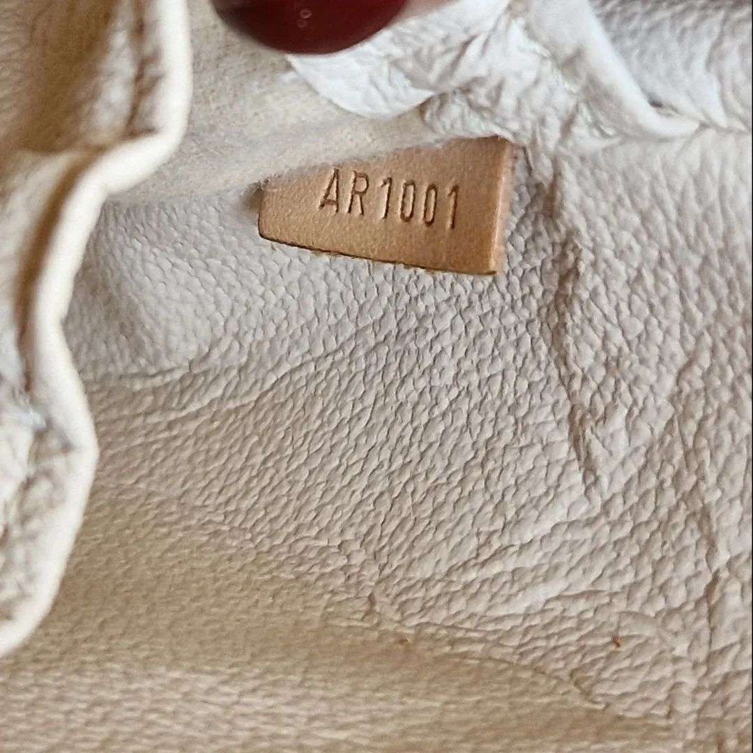 Louis Vuitton Spotini