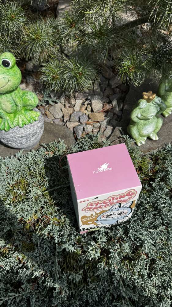 LaBubu Exciting Macaron –  (Blind Box)