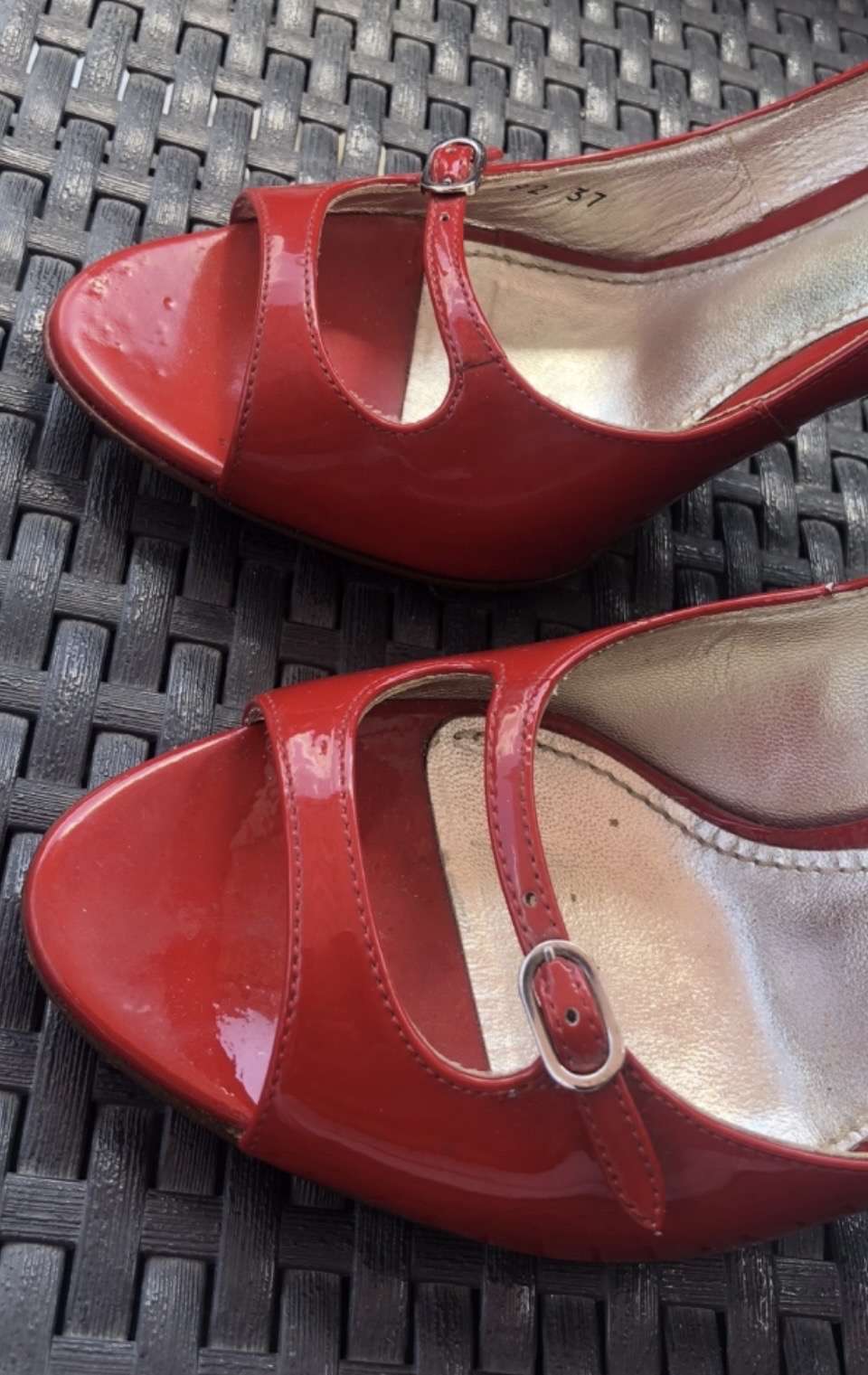 Dolce Gabbana Lodicky