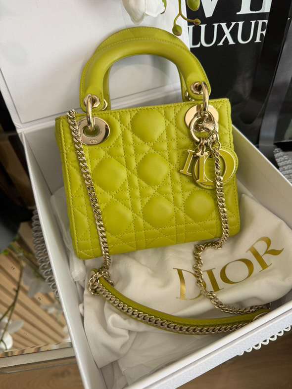 Christian Dior Lady Dior mini
