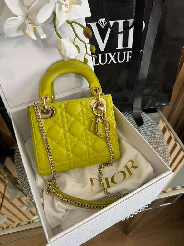 Christian Dior Lady Dior mini