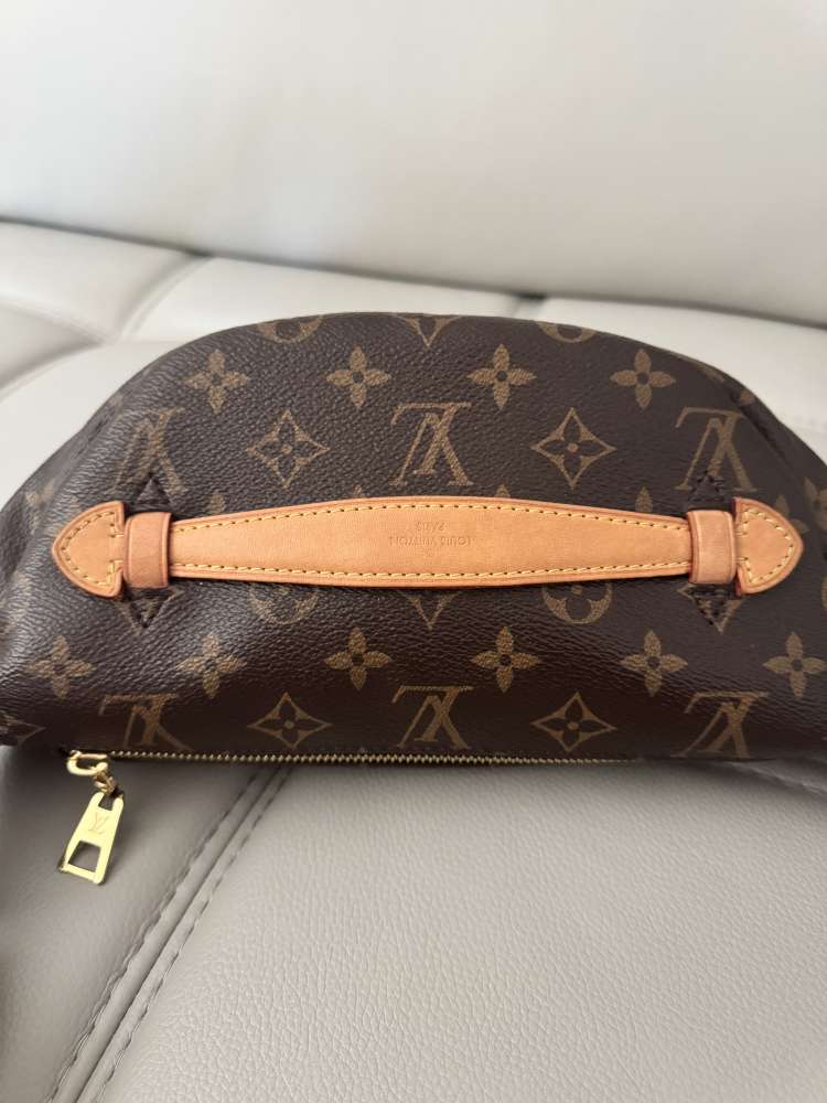Louis Vuitton bumbag