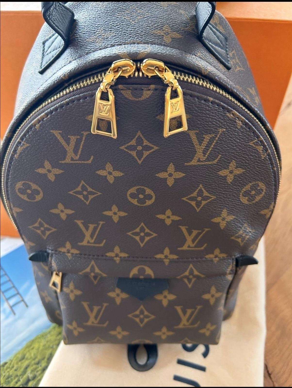 Louis Vuitton palm spring PM
