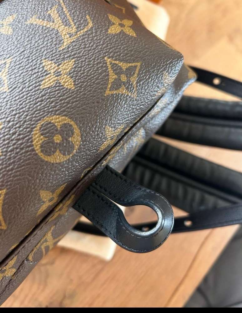 Louis Vuitton palm spring PM