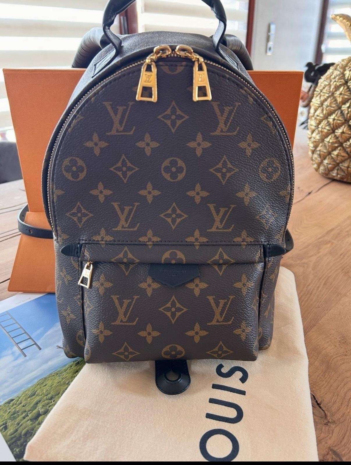 Louis Vuitton palm spring PM