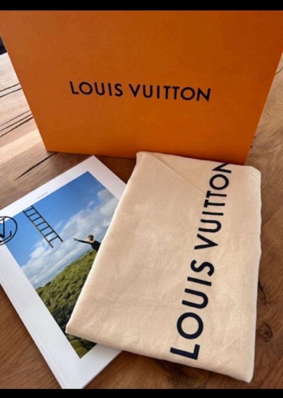 Louis Vuitton palm spring PM